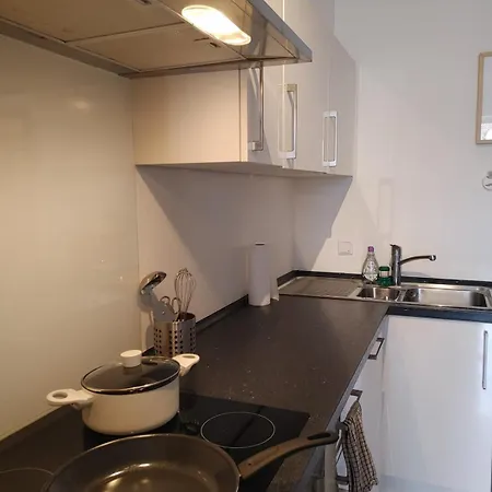 Appartement Stilvolles Loft Mit Galerie Direkt Am Stadtplatz *
